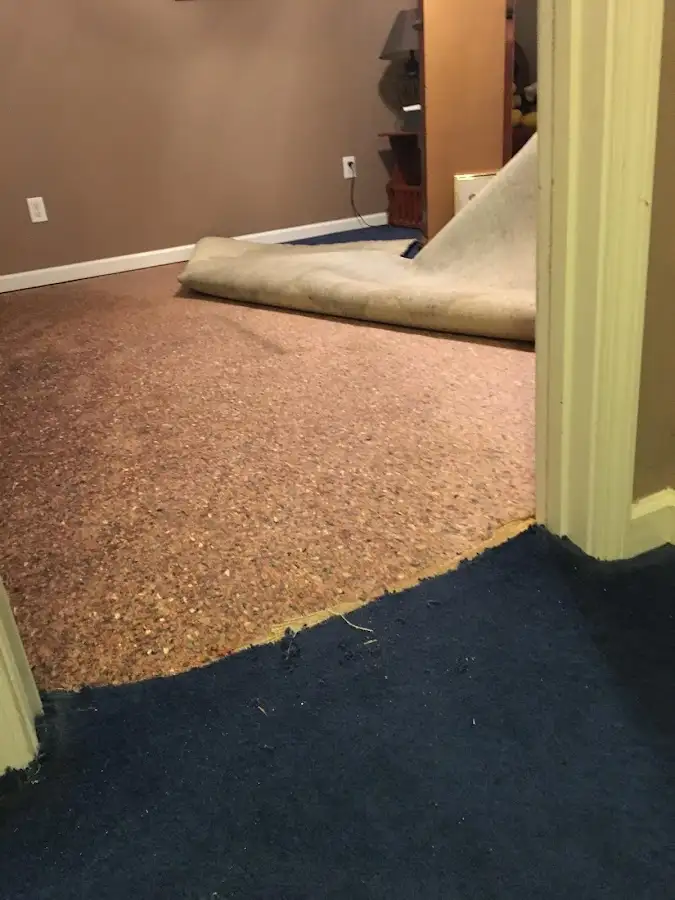 Carpet pad removal revealing water damage during Drying & Dehumidification in Arbutus