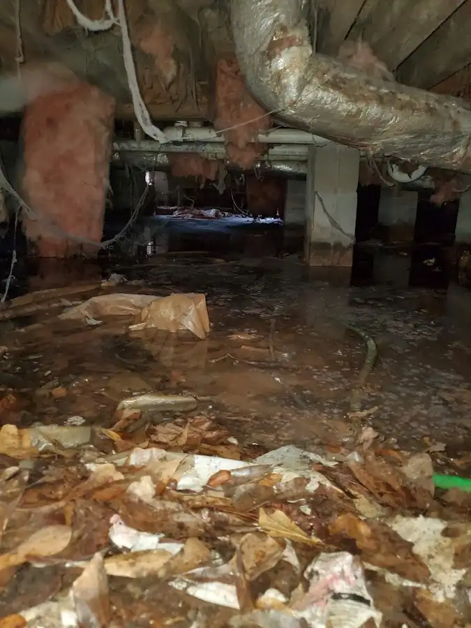 Crawl space flood assessment for Leak Detection & Repair in Arbutus