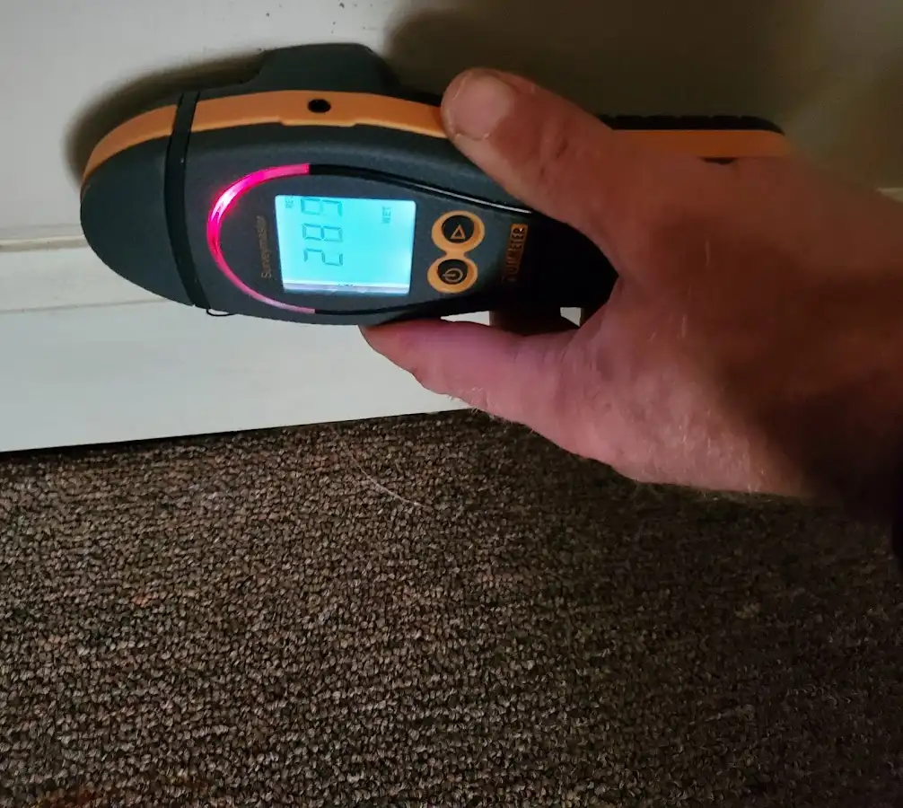 Moisture detection at baseboard during Burst Pipe Cleanup in Arbutus